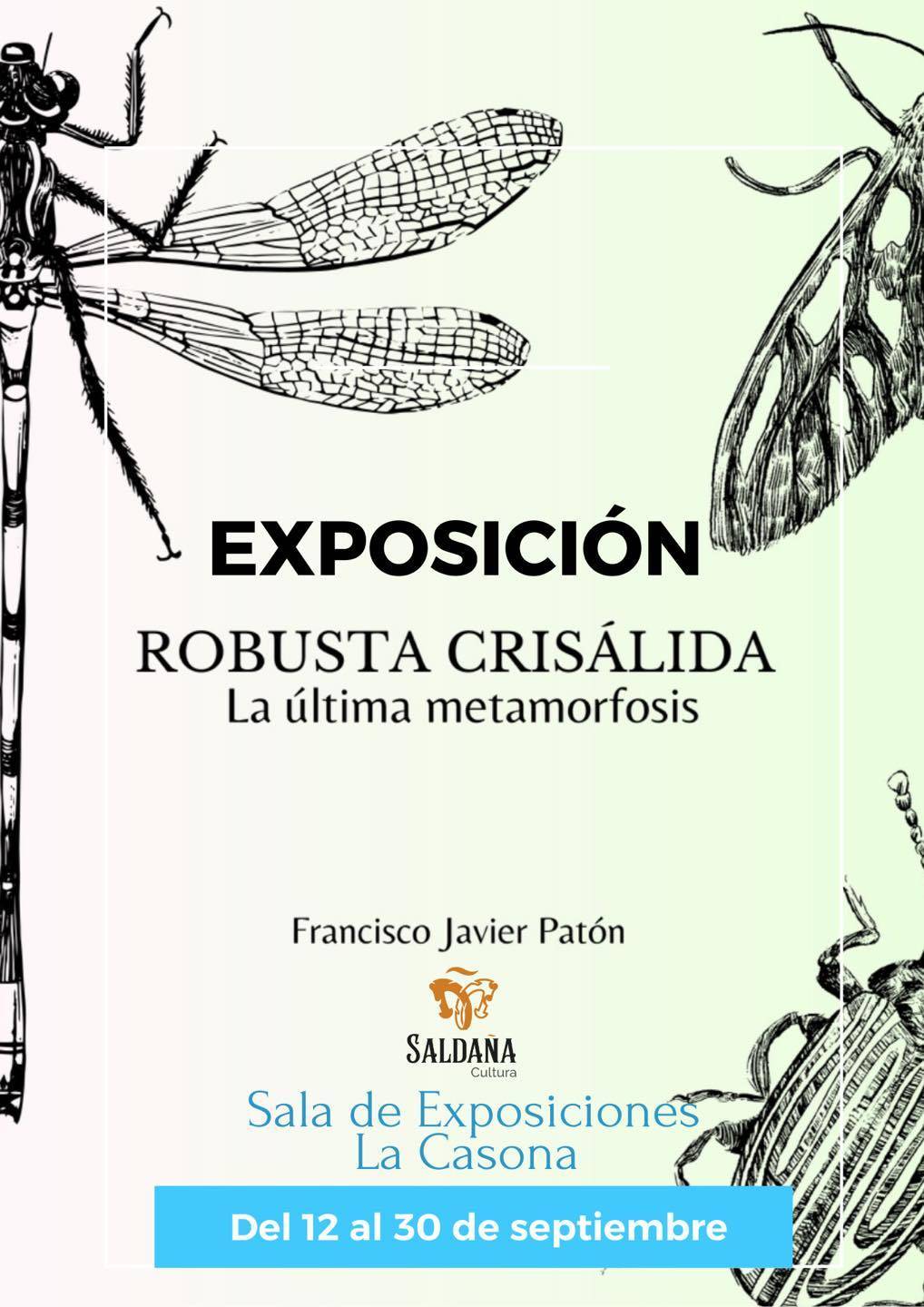 Exposición 'Robusta crisálida' (2023) - Saldaña (Palencia)