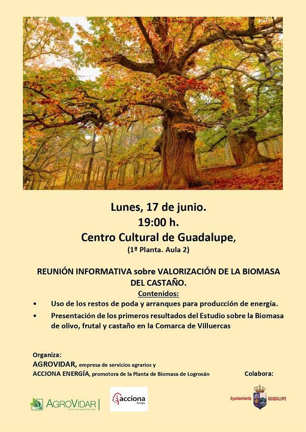 Reunión informativa sobre la valorización de la biomasa del castaño (2024) - Guadalupe (Cáceres)
