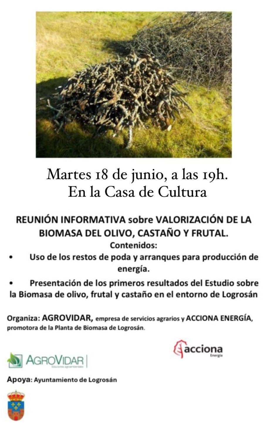Reunión informativa sobre la valorización de las biomasa del olivo, castaño y frutal (2024) - Logrosán (Cáceres)