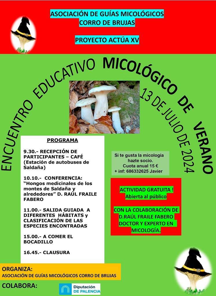 Encuentro educativo micológico de verano (2024) - Saldaña (Palencia)