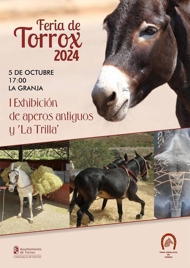 Feria (2024) - Torrox (Málaga) 10